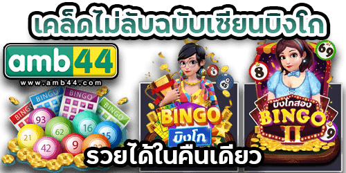 บิงโก