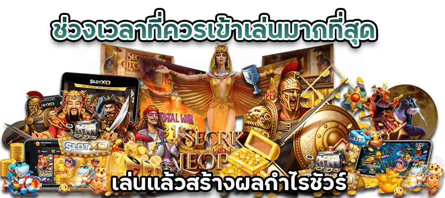 กำไรชัวร์