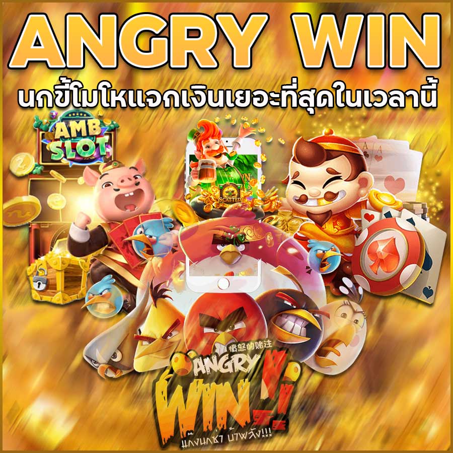 ANGRY WIN