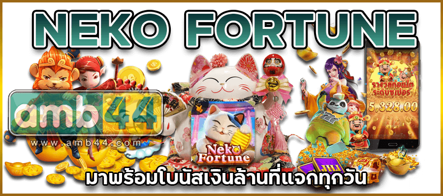 แจกทุกวัน