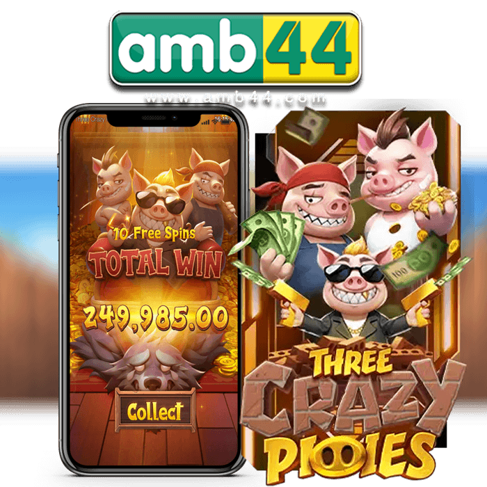 THREE CRAZY PIGGIES
